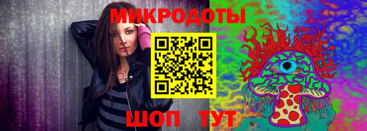 Галлюциногенные грибы Psilocybine cubensis Ахтубинск
