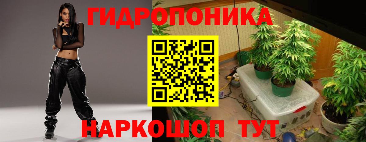 Ахтубинск  Бошки марихуана планчик  Каннабис Ganja  Марихуана сатива  Конопля планчик  Вход с VPN 